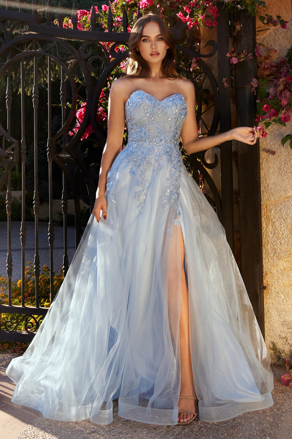 【ANDRESD】all in one dress & tulle tops Andrea & Leo - A1339: A-Line Tulle Gown with Lace Appliqué