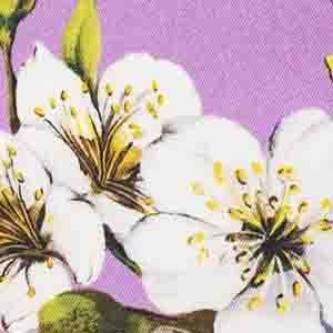 A close-up of a floral pattern featuring white blossoms with yellow centers and green leaves on a lavender-purple background.