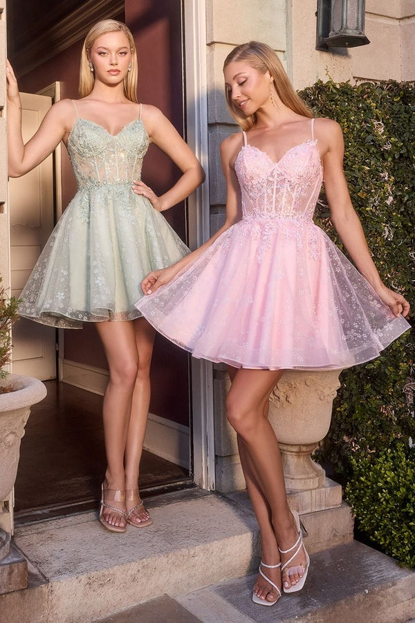 Model wearing Ladivine CJ419 mini dress with sheer corset bodice, floral embroidery, and sweetheart neckline.