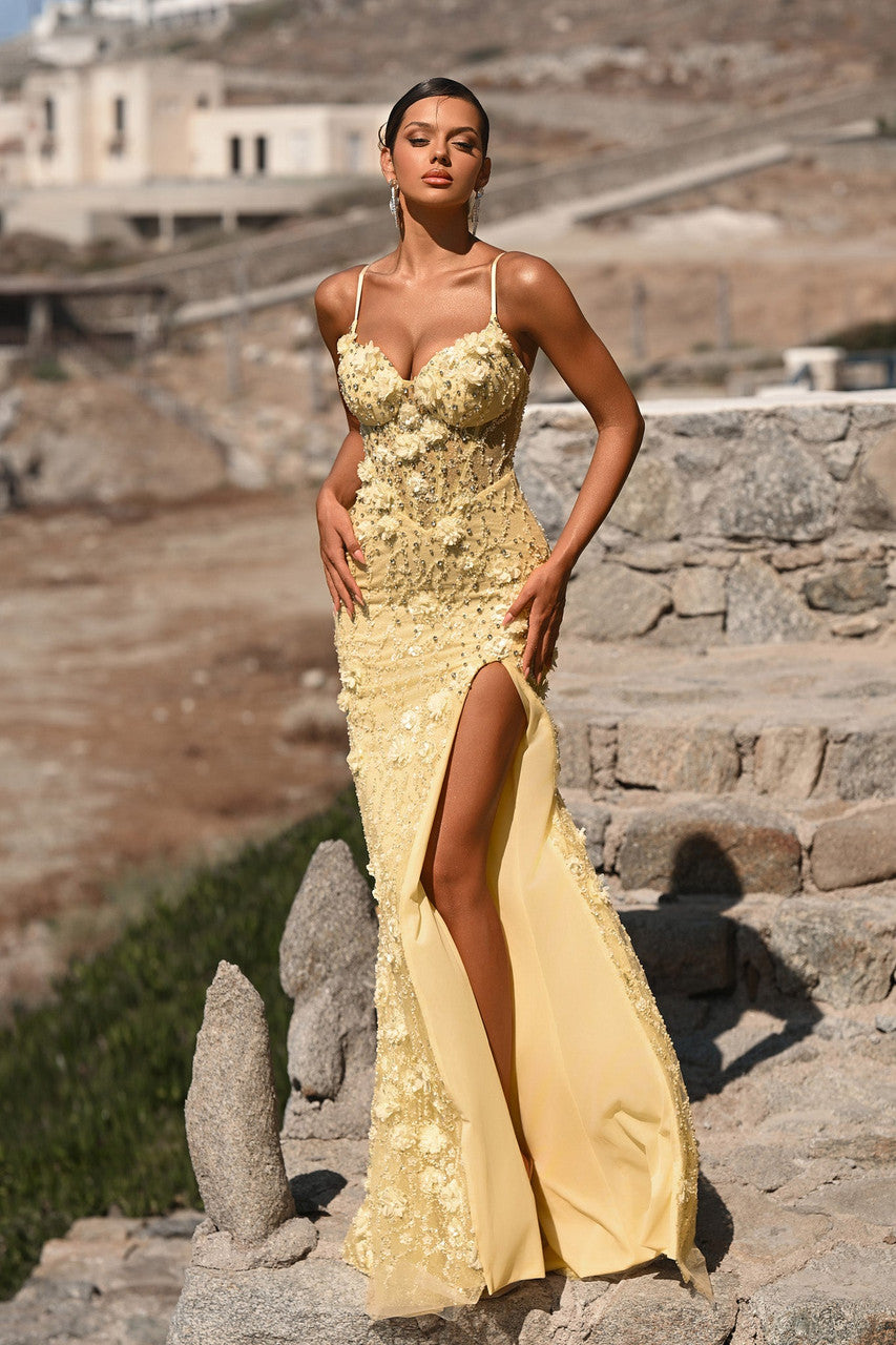 Woman in a yellow evening gown standing on stone steps with a scenic background