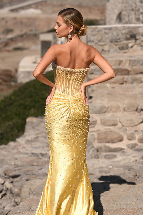 Woman in a yellow evening gown with a scenic background