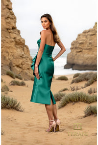 Model wearing Terani Couture 252C5032 one-shoulder floral embroidered gown with ruffle accent in fitted silhouette.