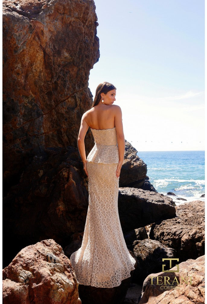 Woman in a champagne color evening gown standing among rocky cliffs with 'Terani Couture' branding.  Back View